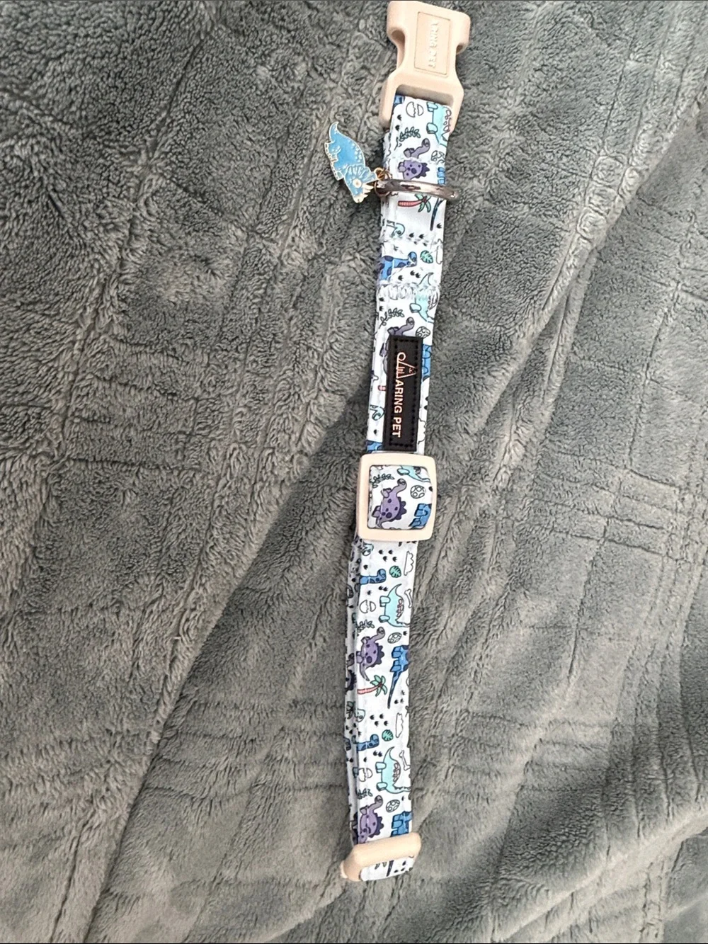 Darling Light Blue Collar with Purple and Blue Accents